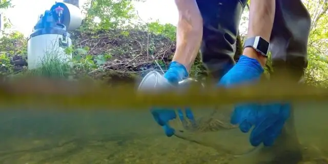 Культура сильно влияет на то, как люди справляются со стихийными бедствиями