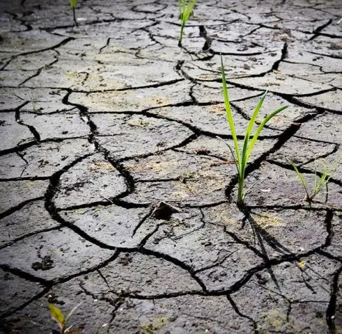 Богатые люди делают меньше в борьбе с изменением климата