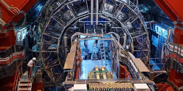 Выявление штаммов кишечной палочки с помощью молекулярной электроники