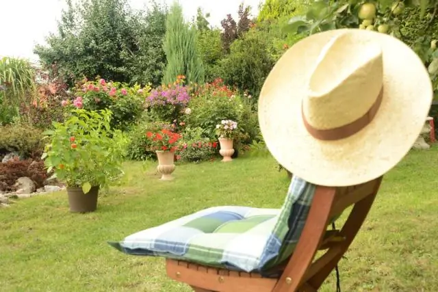 Горячие температуры могут вызвать реакцию РНК у растений