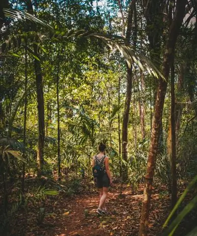 Крошечная шипастая улитка обнаружена на заднем дворе Панамы