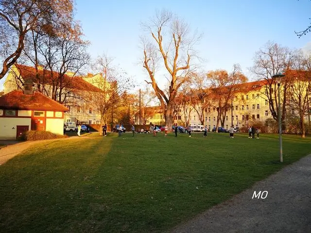 Лесные ястребы слетаются в городской буфет