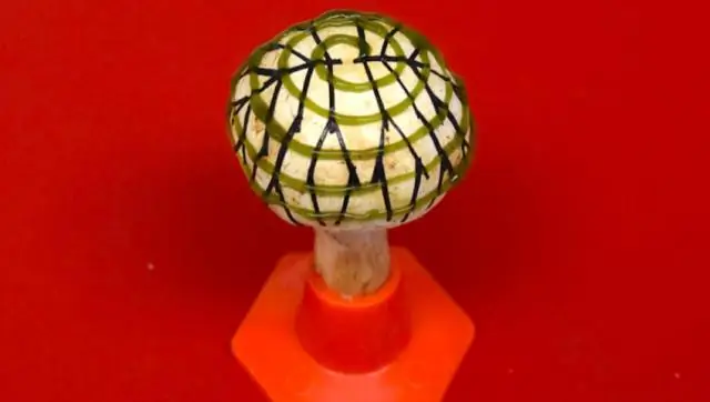 «Бионические грибы» объединяют нанотехнологии, бактерии и грибки