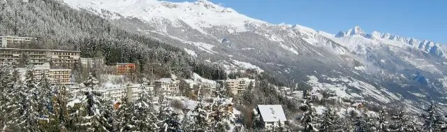 После плохой зимы в океане больше всего страдают самки Магеллановых пингвинов, показывают исследования