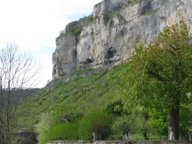 Спасение дикой природы: использование геологии для отслеживания неуловимых ястребов