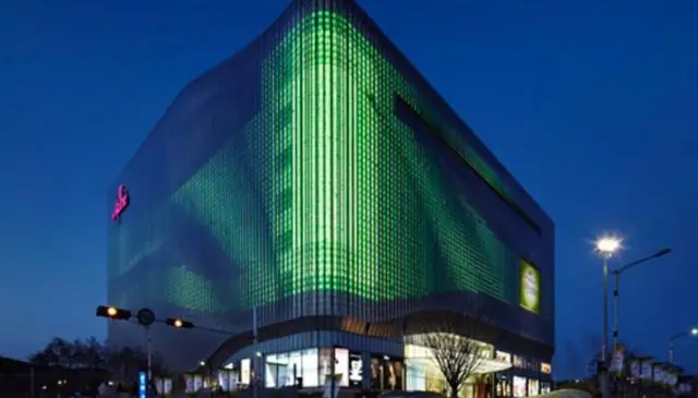 Исчерпывающий анализ раскрывает внутренние временные механизмы клеточного деления