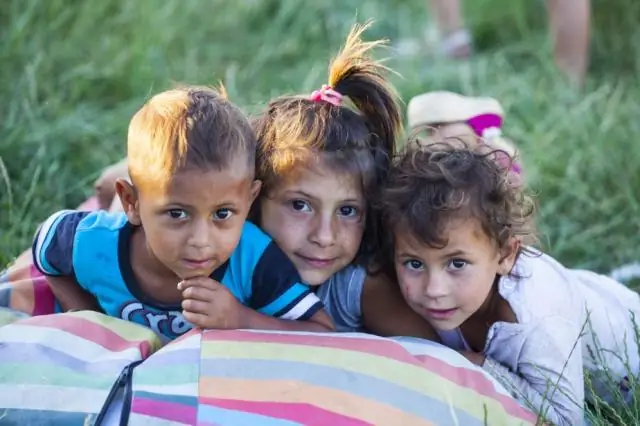 Опубликовано наиболее полное исследование крупнейшего в Европе местонахождения гадрозавров