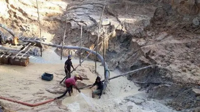 Разрушение тропических лесов в результате добычи золота достигло рекордного уровня в Перу