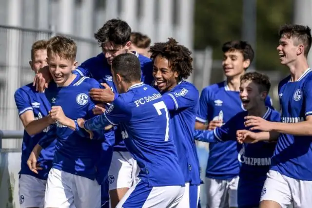 Уникальное исследование показывает, как маневрируют летучие мыши