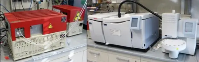 Теперь мы знаем, как молекулы РНК организованы в клетках