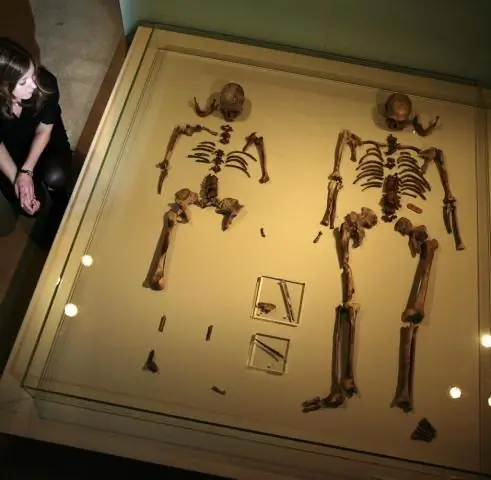 ДНК древнейшей в мире естественной мумии раскрывает секреты племен Ледникового периода в Америке