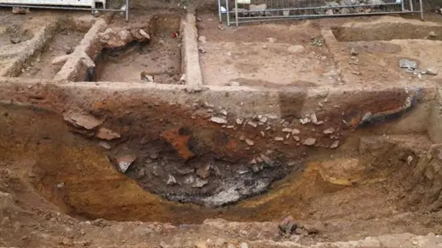 История ранних поселений и выживания в высокогорьях Анд, раскрытая древними геномами