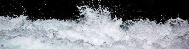 Реакции коралловых рифовых рыб на побег подчиняются простым правилам поведения