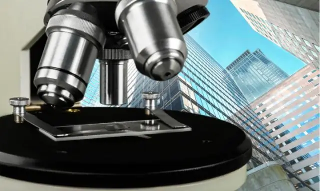 Азотфиксация в условиях окружающей среды