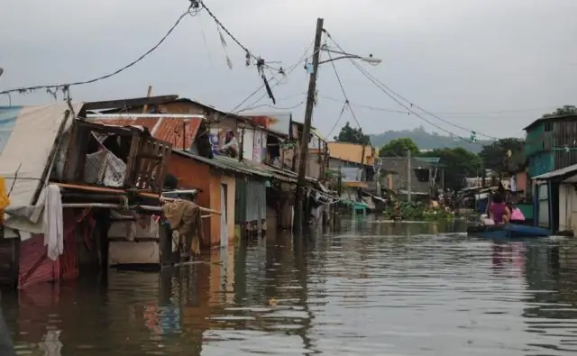 Повышение уровня моря может создать, а не разрушить острова коралловых рифов