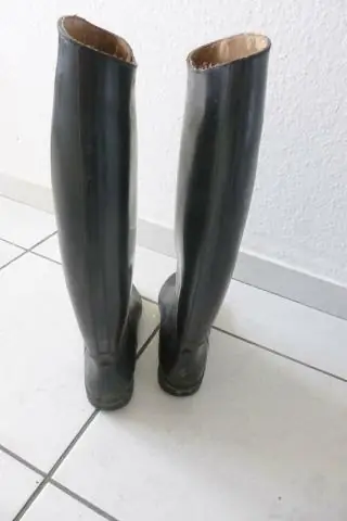 Когда рыбки-мальчики строят замки, чтобы произвести впечатление на девочек, гены мальчиков «включаются» и «настраиваются»