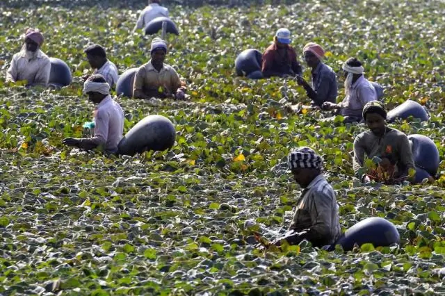 Разрастание городов в Хьюстоне увеличило количество осадков и наводнений во время урагана Харви