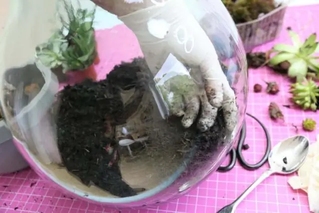 Рекомендации растений, которые приносят пользу и привлекают опылителей