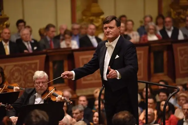 Первый учет белых медведей в США и России выявил здоровую популяцию