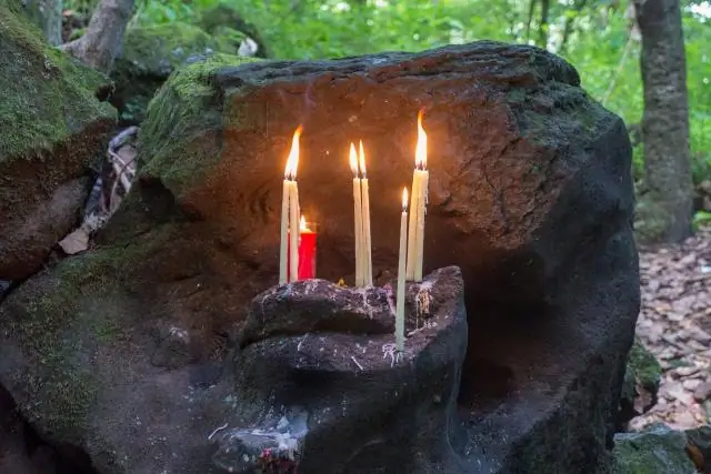 Лекарства для человека меняют личность крикета