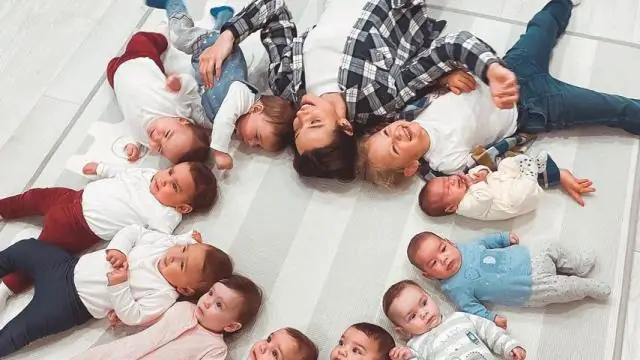 Одиннадцать видов тюленей чудом избежали исчезновения