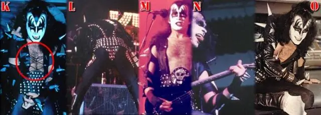 Прыгающие гены проливают свет на то, как могла возникнуть развитая жизнь