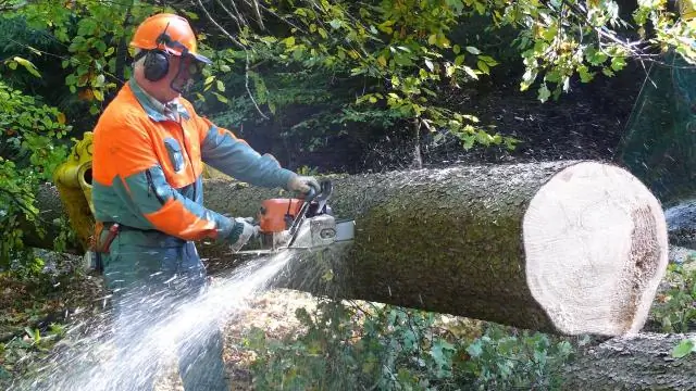Собаки знают, когда они не знают