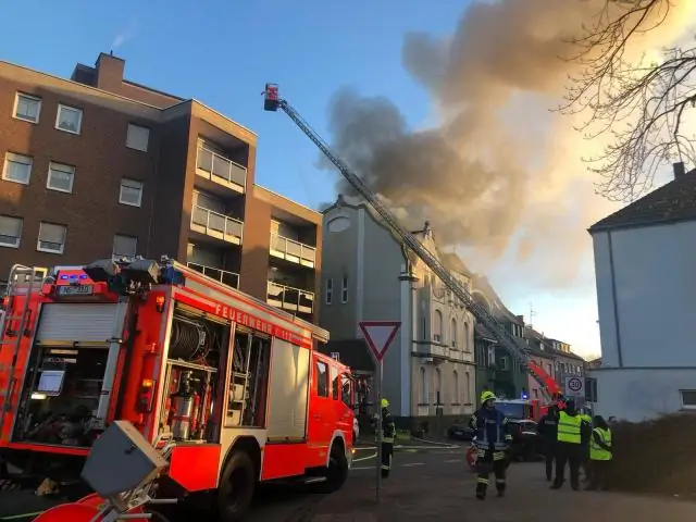 Может ли вчерашняя Земля содержать подсказки для изготовления завтрашних лекарств?
