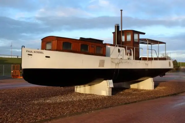 Тропические рыбы адаптируются к низким температурам в соответствии со своим микробиомом