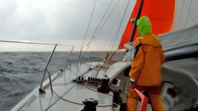 Популяция гиен медленно восстанавливалась после эпидемии болезни