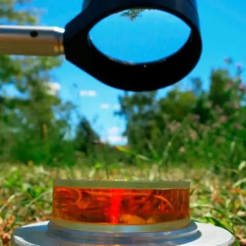 Обычный солнечный свет может быть использован для уничтожения загрязняющих веществ в воде: химики представляют новый процесс получения гидратированных электронов