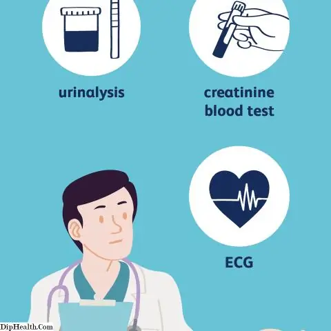 Как калий попадает в клетки? Неожиданное открытие химерного белка, сочетающего в себе ионный насос и ионный канал