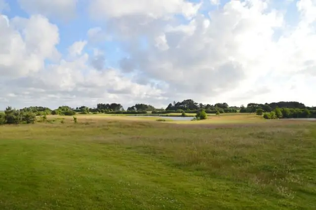 Дроны предлагают возможность находить, идентифицировать и подсчитывать морскую мегафауну