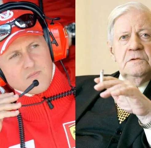 Влияние на коллективное поведение групп животных