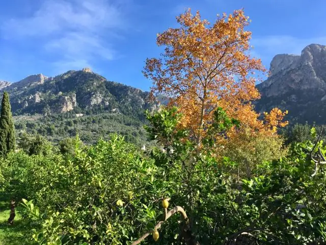 Сильная жара усиливается как летом, так и зимой