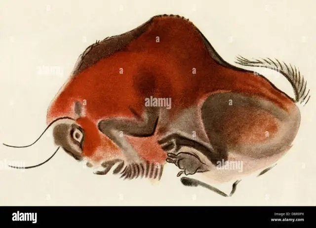 Доисторические наскальные рисунки предполагают древнее использование сложной астрономии