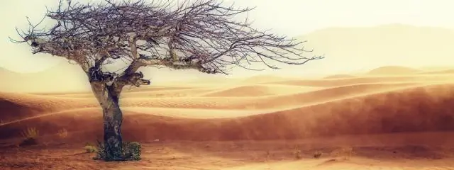 Ученые добились прямого электрокаталитического восстановления двуокиси углерода, что вселяет надежду на умное улавливание углерода