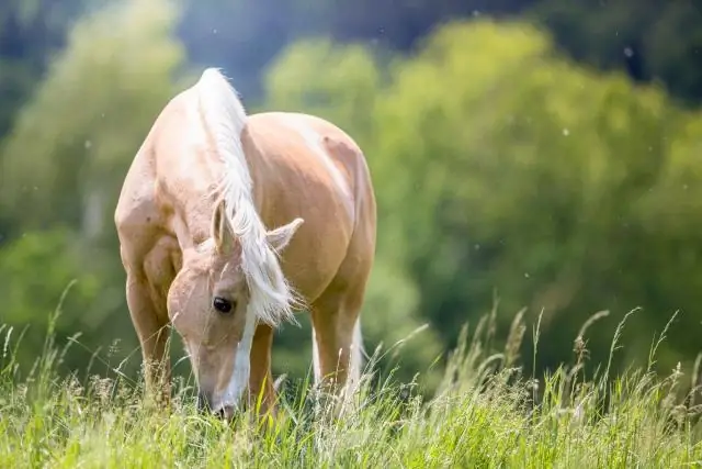 Новое исследование исследует стабильность экосистемы