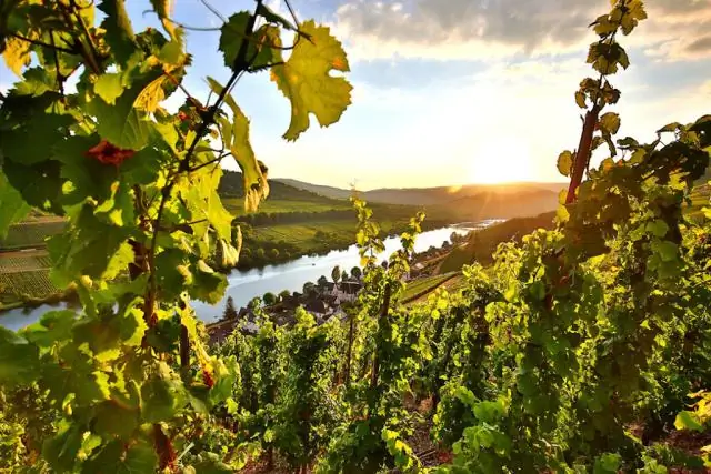 Подтверждение географического происхождения фундука