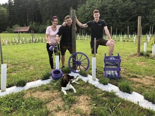 Чтение мыслей крыс: ученые могут предсказать, куда крыса пойдет дальше, основываясь на том, как активируются ее нейроны гиппокампа