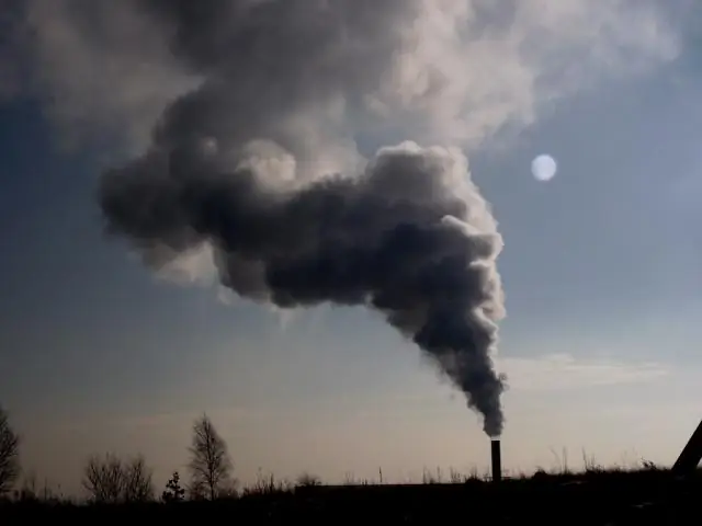 Глобальное потепление увеличивает риск возникновения эффекта домино