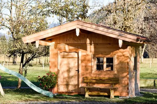 Приматы и вороны планируют, не задумываясь