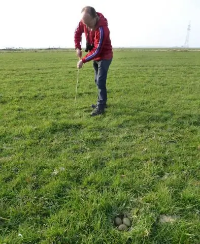 Треска: потеря мест размножения в более теплом мире