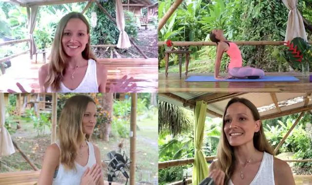 Инструментарий для изучения существования культур животных: исследование показывает, что плодовые мушки могут передавать свои сексуальные предпочтения культурно