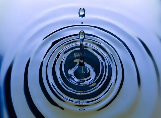 Новые инструменты проливают свет на механизмы, лежащие в основе критических ролей упущенных клеточных компонентов