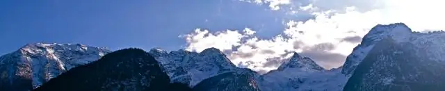 Сокращение снежного покрова может замедлить рост деревьев и способность лесов накапливать выбросы углерода