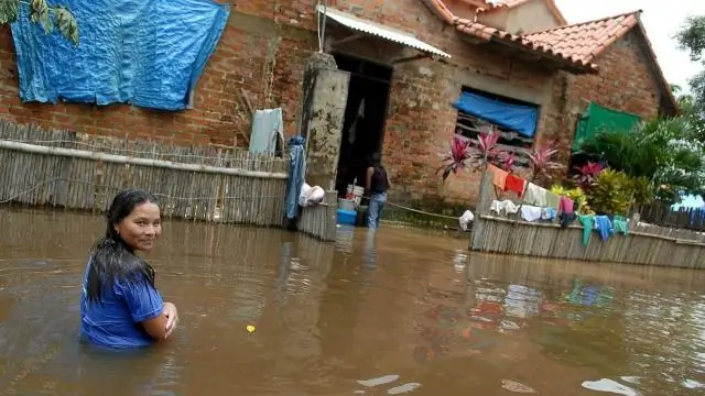 Глобальное потепление увеличивает ущерб от мороза на деревьях в Центральной Европе