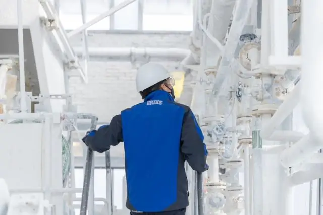 Высокая цена измены для быстрых попугаев