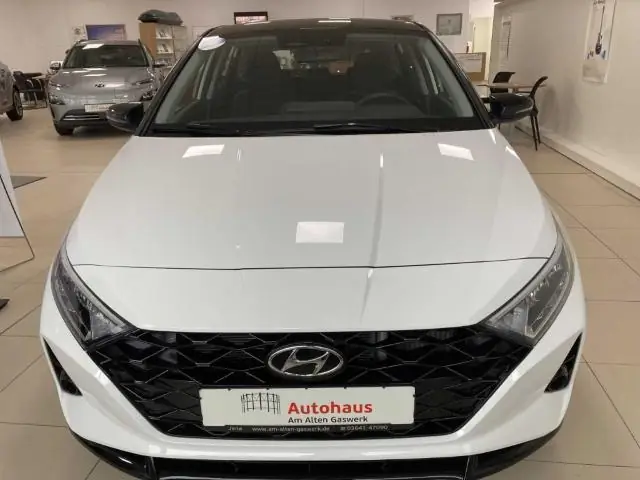 Навигационная система у грызунов, похожая на древнюю пеленгацию в открытом океане