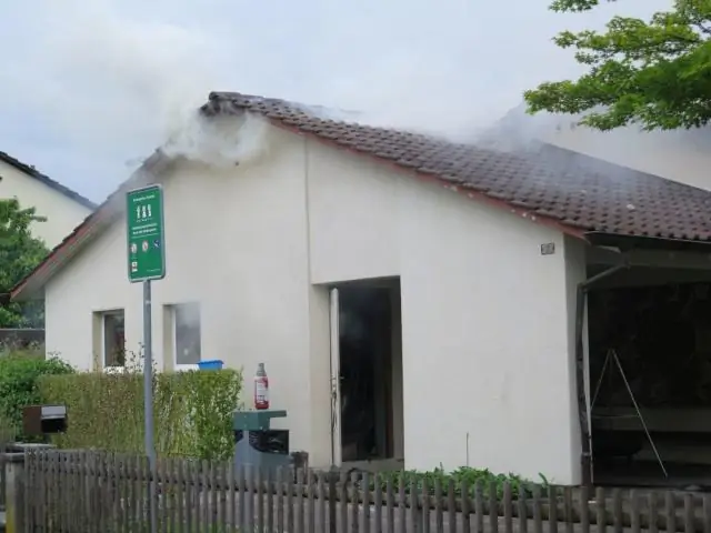 Пепел от лесных пожаров может задерживать ртуть